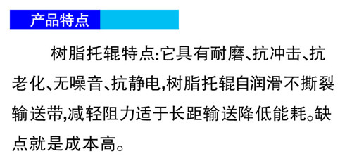 树脂托辊-技术.jpg